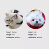 Lightweight Mesh Pet Carrier Backpack for Cats and Small Dogs