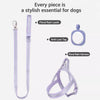 Nylon Dog Harness for Everyday Walks