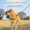 Vest-Style Dog Harness and Leash for Small to Medium Dogs