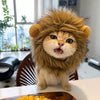 Animal-Themed Costume Hats for Small Cats and Dogs