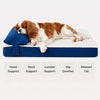 Memory Foam Pet Bed Pad for Small Dogs