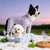 Mesh Four-Leg Dog Outfit