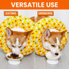 Soft Waterproof Recovery Collar for Dogs