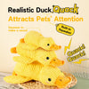 Plush Squeaky Pet Toy with Playful Animal Designs