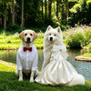 Formal One-Piece Dog Dress for Medium and Large Dogs