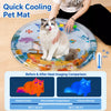 Water-Filled Pet Mat for Cats and Dogs