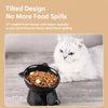 Ceramic Angled Elevated Bowl for Cats and Dogs