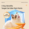 Double-Layer Cat Litter Mat