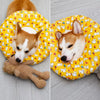Soft Waterproof Recovery Collar for Dogs