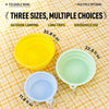 Collapsible Travel Bowl for Dogs and Cats