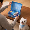 Dog Snuffle Shoe Toy