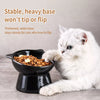 Ceramic Angled Elevated Bowl for Cats and Dogs