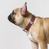 Faux Leather Collar with Gemstone-Inspired Detail for Dogs and Cats