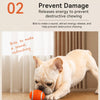 Latex Sports Ball Squeaky Dog Toy
