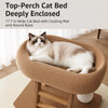 Space-Saving Cat Scratcher Bed with Braided Sisal Rope