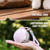 Portable Stainless Steel Dog Water Bottle