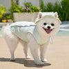 Lightweight Mesh Dog Vest for Everyday Wear