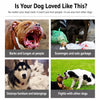 Soft Plastic Dog Muzzle with Breathable Mesh