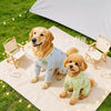 Mesh Four-Leg Dog Outfit