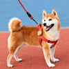 Adjustable Dog Harness Vest