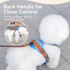 Adjustable Polyester Dog Harness for Everyday Walks | Moggold