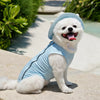 Lightweight Mesh Dog Vest for Everyday Wear