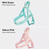 Nylon Dog Harness for Everyday Walks