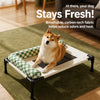 Elevated Cat & Dog Pet Cot with Breathable Mesh and Removable Cushion