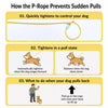 Extra-Long Polyester Dog Leash for Walks and Training