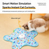 Rechargeable Interactive Cat Toy with Teaser Wand and Hideaway Cover