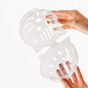 Clear Plastic Cat Cone for Grooming and Care