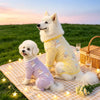 Mesh Four-Leg Dog Outfit