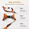 Vest-Style Dog Harness and Leash for Small to Medium Dogs