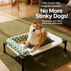 Elevated Pet Cot with Detachable Cushion and Mesh Surface
