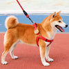 Adjustable Dog Harness Vest