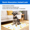 Absorbent Dog Training Pads