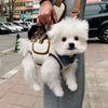 Pet Carrier Shoulder Bag for Small Dogs & Cats