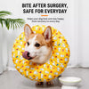 Soft Waterproof Recovery Collar for Dogs