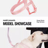 Nylon Dog Harness for Everyday Walks