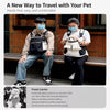 Mesh Pet Carrier Backpack for Small Dogs & Cats
