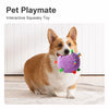 Squeaky Plush Ball Dog Toy for Rolling and Interactive Play