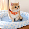 Waterproof Pet Mat