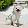 Lightweight Mesh Dog Vest for Everyday Wear