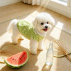 Lightweight Summer Pet Clothing for Dogs and Cats