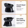 Ceramic Angled Elevated Bowl for Cats and Dogs