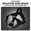 Adjustable Nylon Dog Harness with Leash