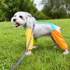 Nylon Four-Leg Dog Suit for Outdoor Walks and Outings