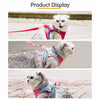 Adjustable Vest-Style Cat Harness with Flat Leash