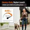 Retractable Dog Leash for Small to Large Dogs