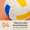 Latex Sports Ball Squeaky Dog Toy